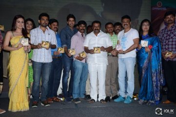 Dr Saleem Movie Audio Launch